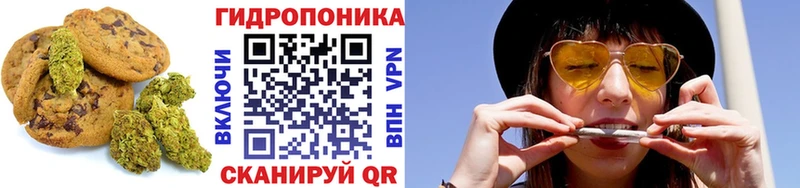 закладка  Ахтырский  Cannafood конопля 