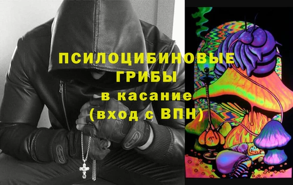 индика Абдулино