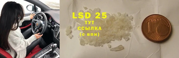 индика Абдулино