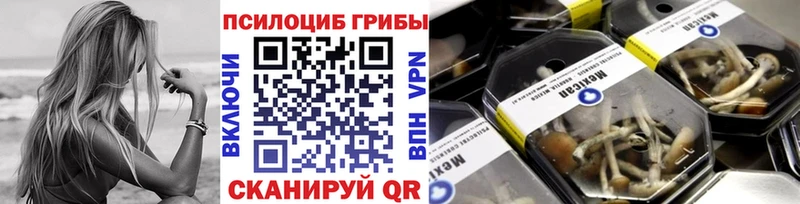 Псилоцибиновые грибы Psilocybe  Ахтырский 